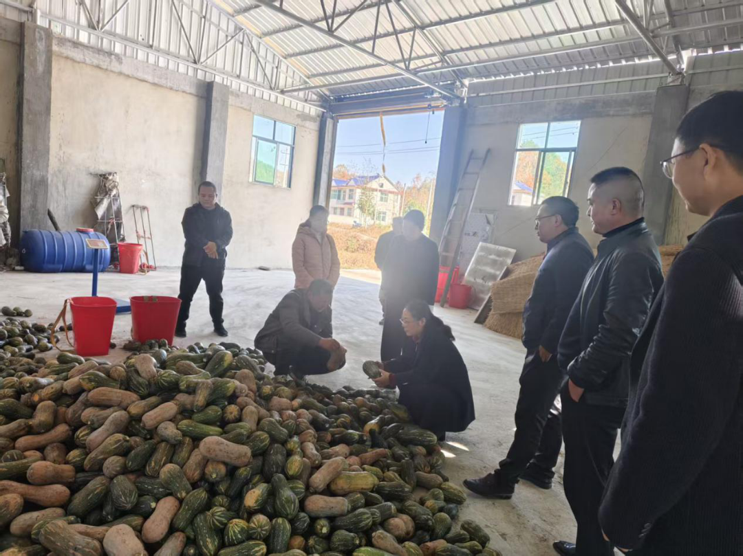 1766480347125071.jpg 微信图片_20251223165827_74.jpg