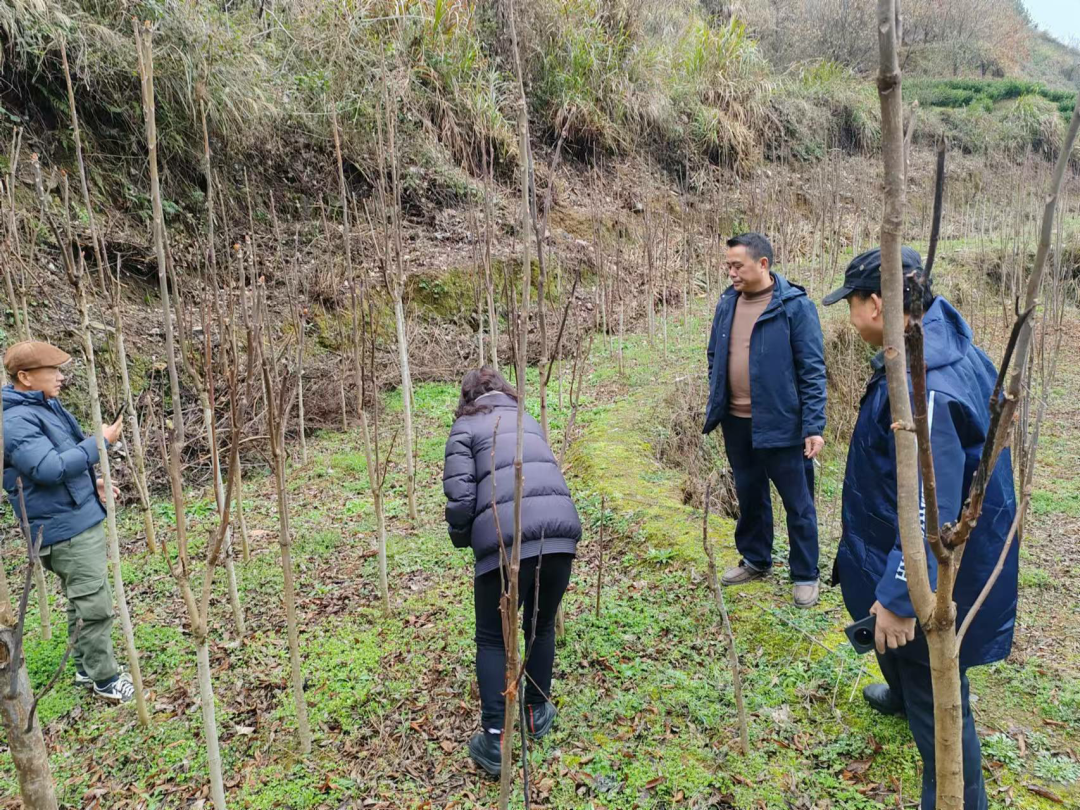 1773817181429026.jpg 微信图片_20260318145456_1129.jpg